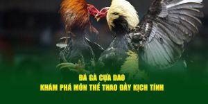 đá gà cựa dao